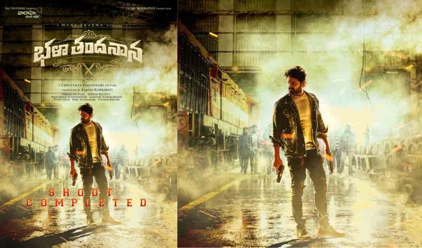 Bhala Thandanana: యాక్షన్‌లోకి దిగిన శ్రీవిష్ణు.. లుక్ అదిరిందిగా!