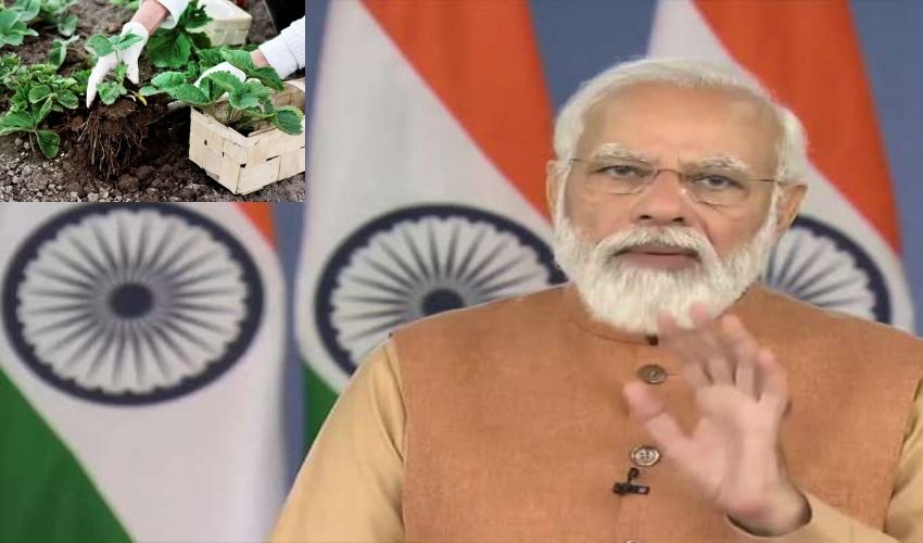 Natural Farming :  ప్రకృతి వ్యవసాయంపై ఫోకస్ పెట్టాలన్న మోదీ