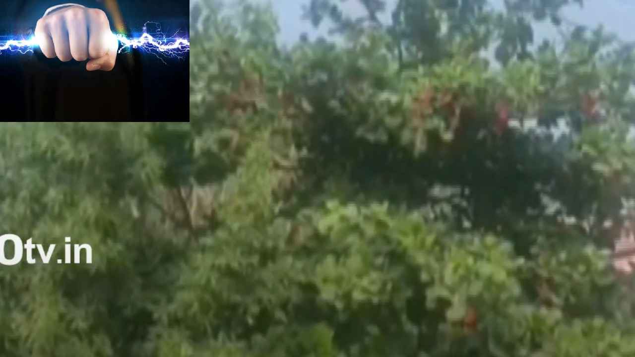 Bapatla Current Shock : తీవ్ర విషాదం.. చెట్టెక్కి ఆడుకుంటున్న ఇద్దరు చిన్నారులకు కరెంట్ షాక్, ఒకరు మృతి