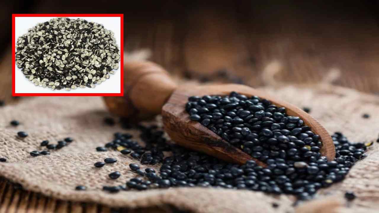 Black Gram Lentil : మినప పప్పుతో చేసిన వంటకాలను ఆహారంలో చేర్చుకుంటే ఎన్నో ఆరోగ్య ప్రయోజనాలు!