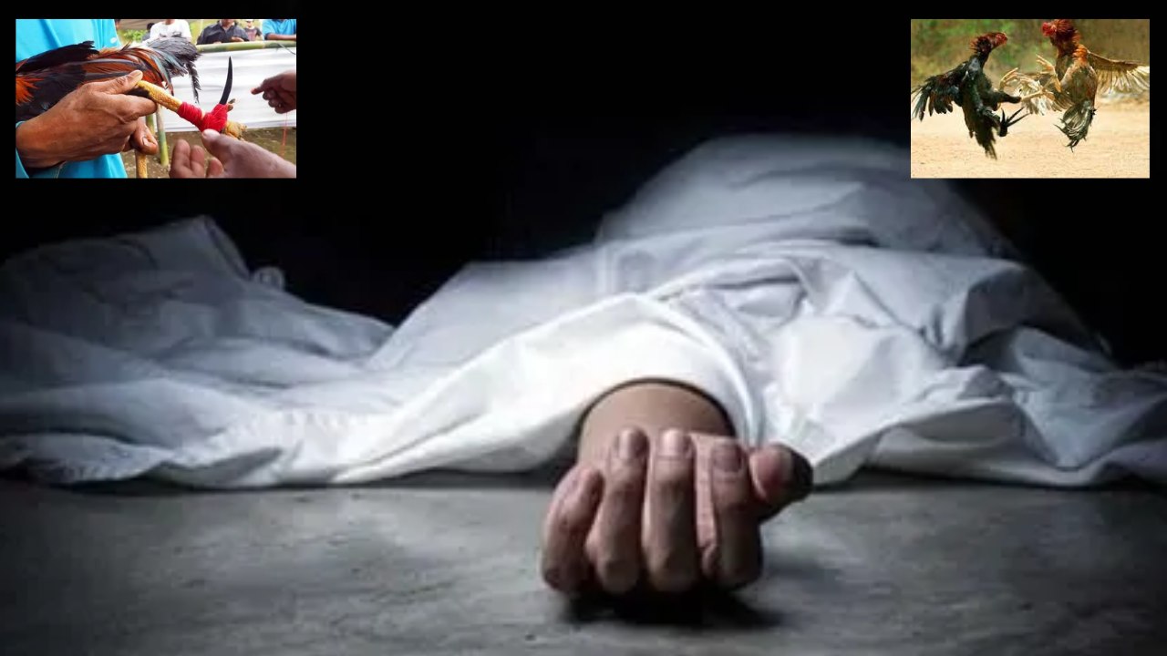 Chicken Knife One Died : కోడి పందాల్లో విషాదం.. కోడికత్తి గుచ్చుకుని వ్యక్తి మృతి