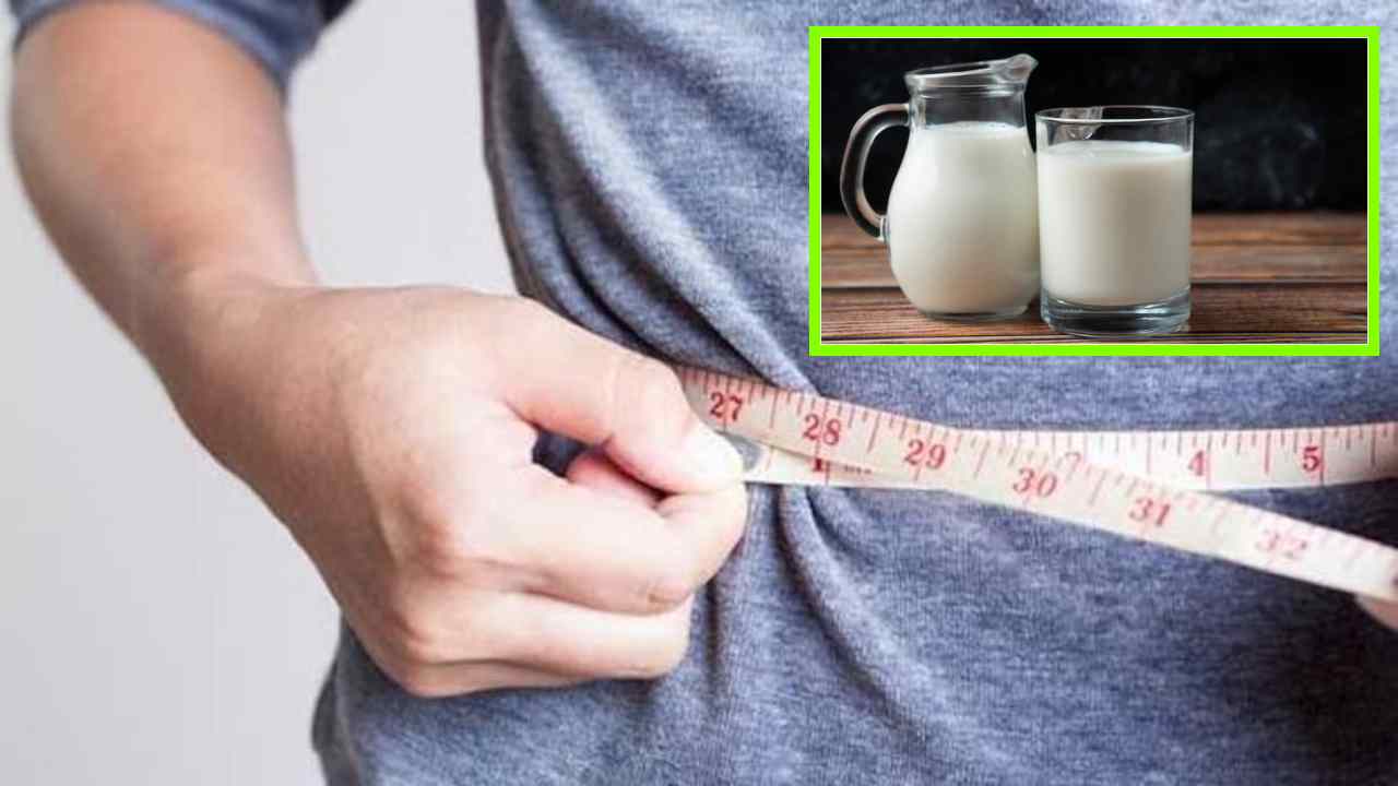 Drinking Milk : పాలు తాగితే బరువు పెరుగుతారా? కొలెస్ట్రాల్ సమస్యలు తప్పవా?