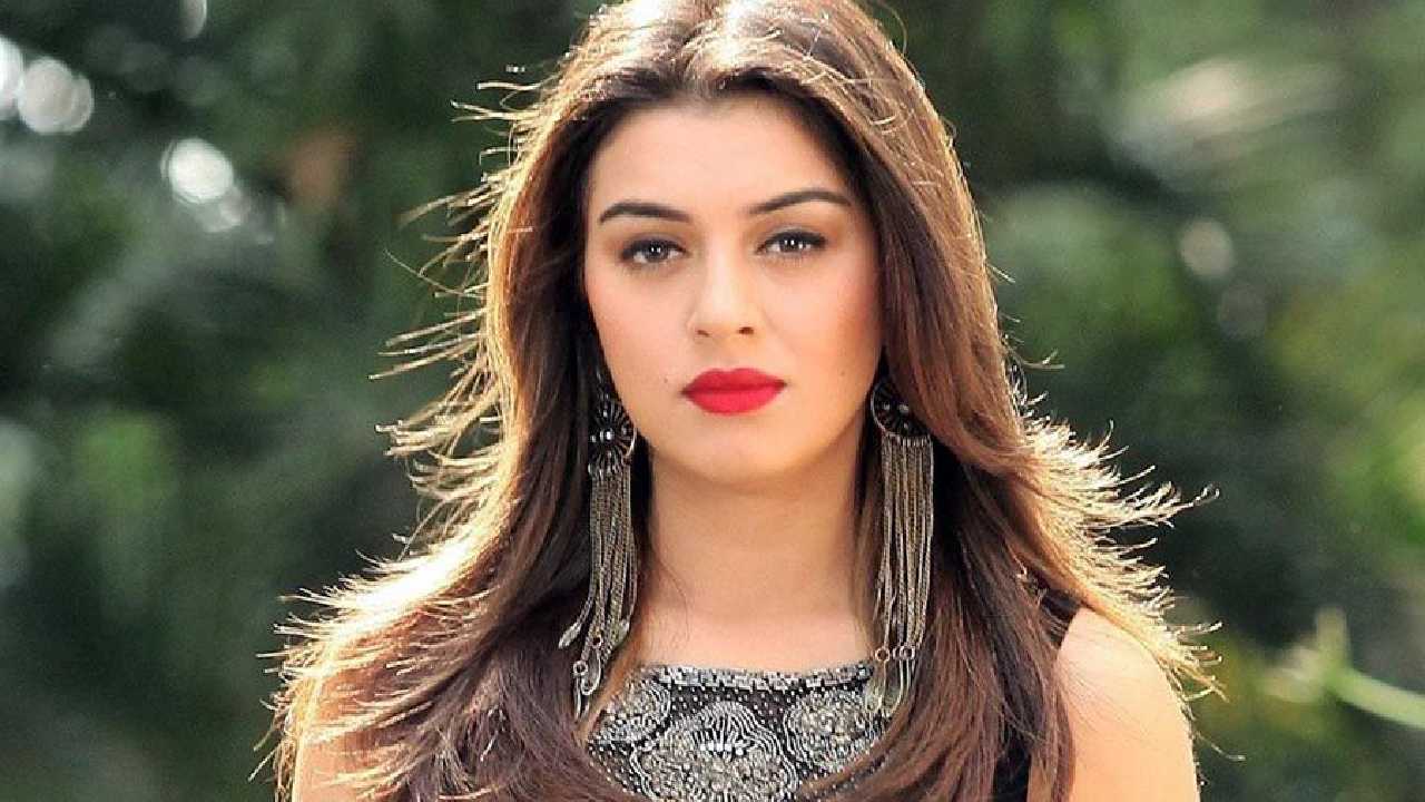 Hansika Motwani : పెళ్లి అయినా సినిమాలకి గ్యాప్ ఇచ్చేది లేదు.. 7 సినిమాలతో హన్సిక!