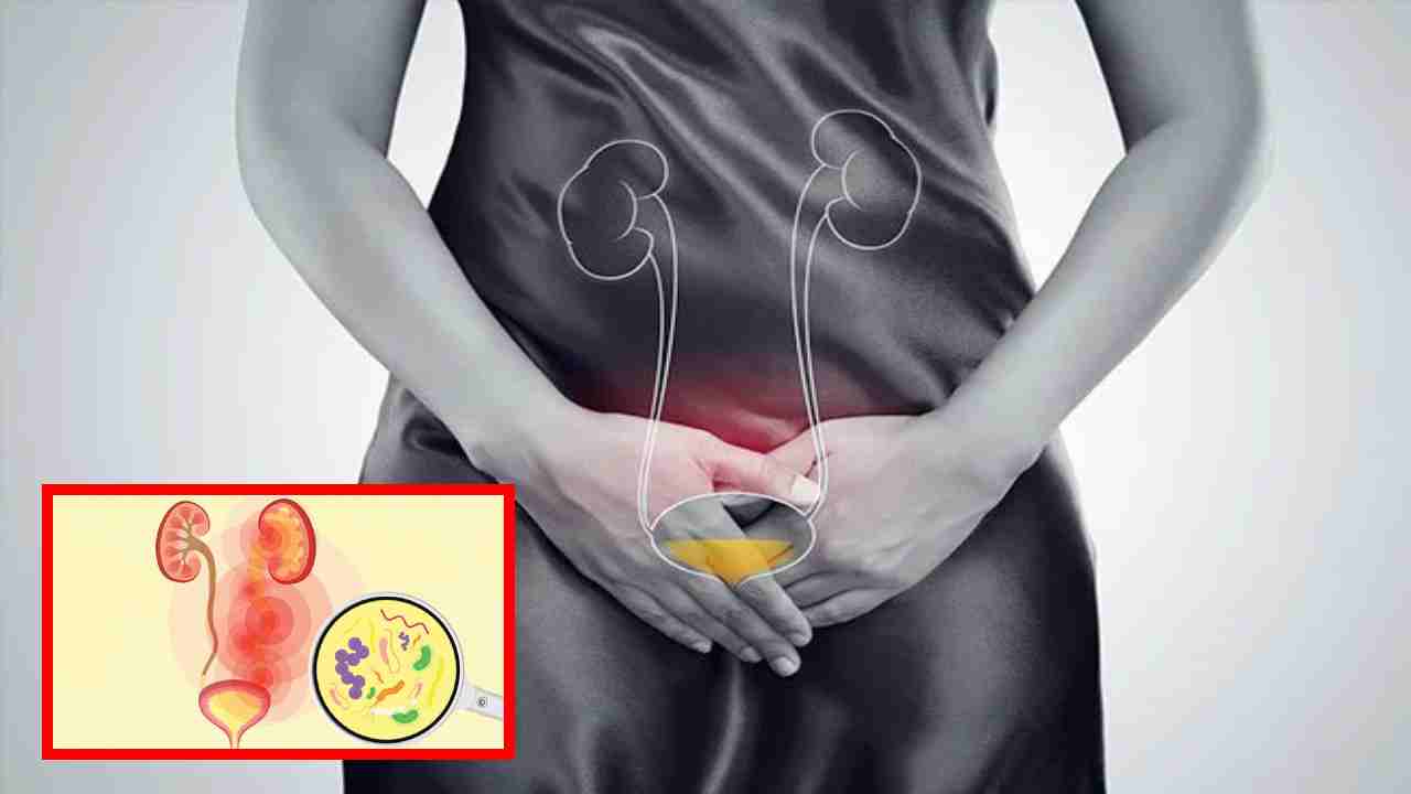 Urinary Tract Infection : యూరినరీ ట్రాక్ట్ ఇన్ఫెక్షన్ సమస్యా? లక్షణాలు ఇవే!