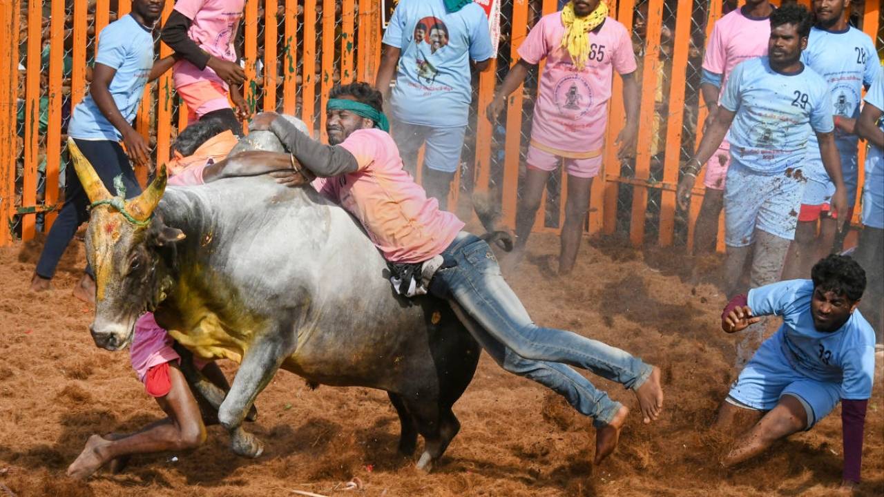 Jallikattu Tragedy: తమిళనాడు జల్లికట్టులో మరో విషాదం..