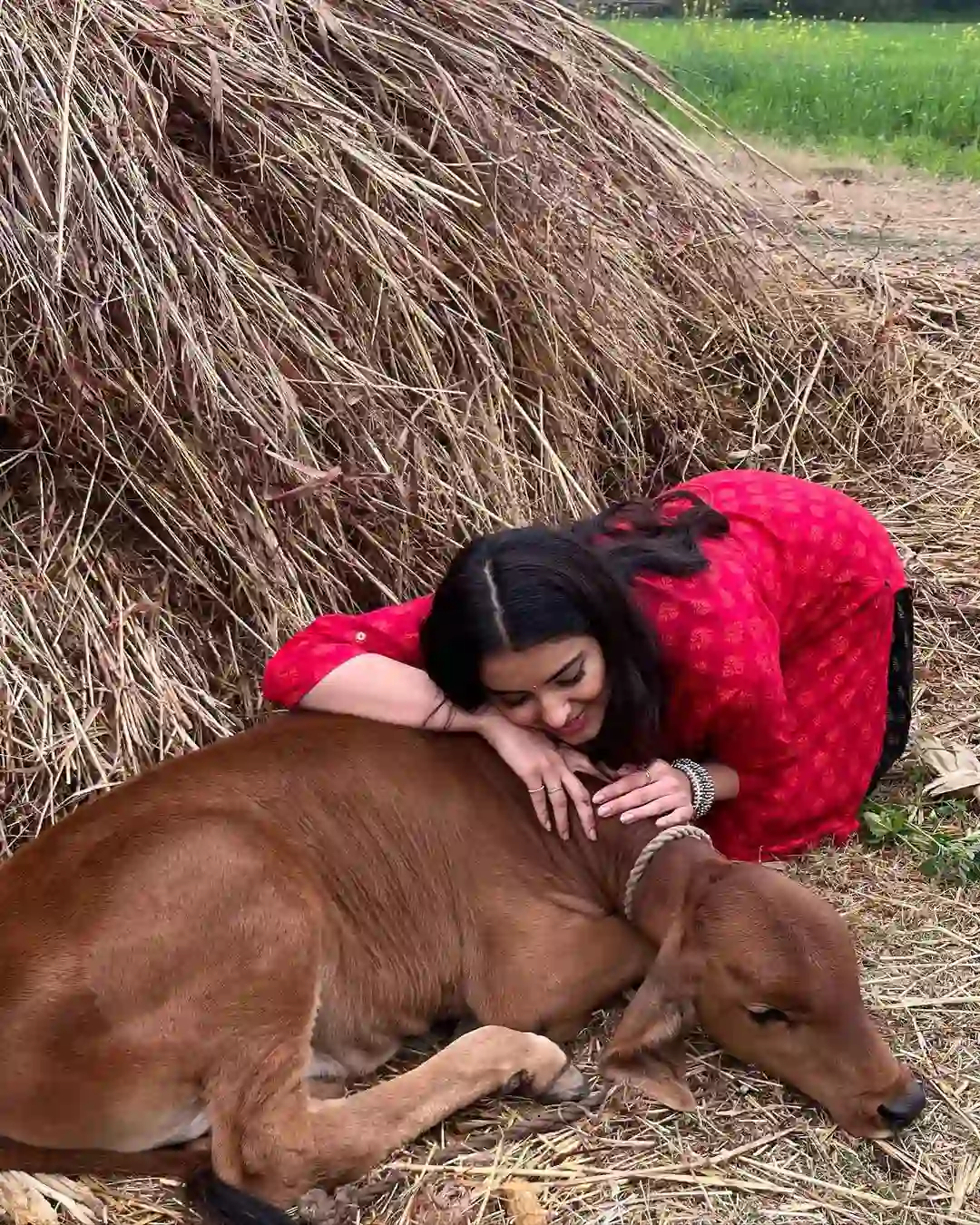 Malvika Sharma photos with the calf