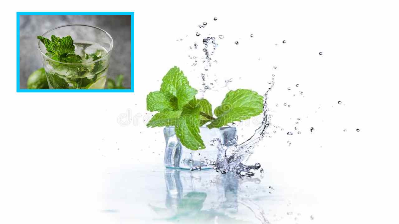 Mint Water : బరువును తగ్గించటంతోపాటు, జీర్ణక్రియను వేగవంతం చేసే పుదీనా వాటర్ !