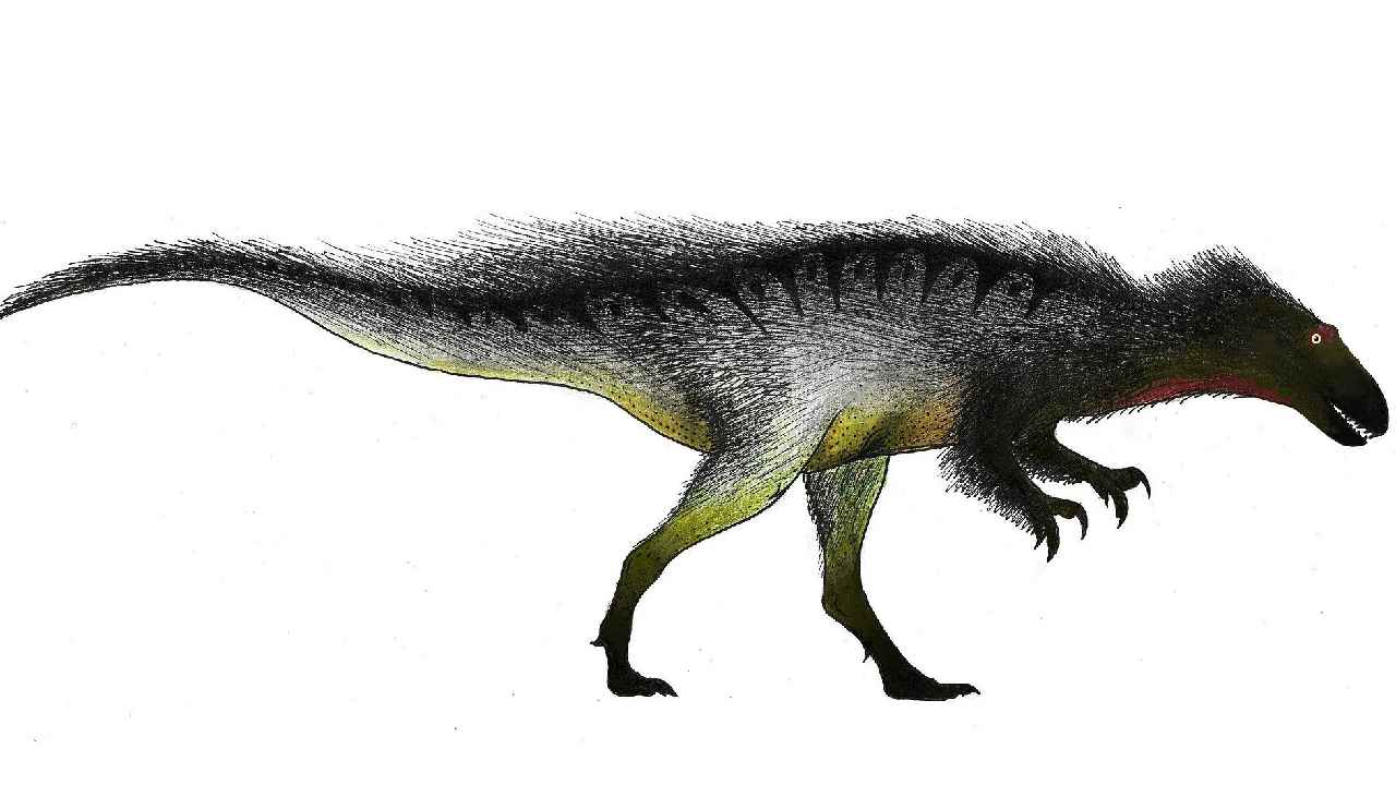 Dinosaur Species: 7.5 కోట్ల సంవత్సరాల క్రితం జీవించిన డైనోసర్ల శిలాజాలను గుర్తించిన శాస్త్రవేత్తలు