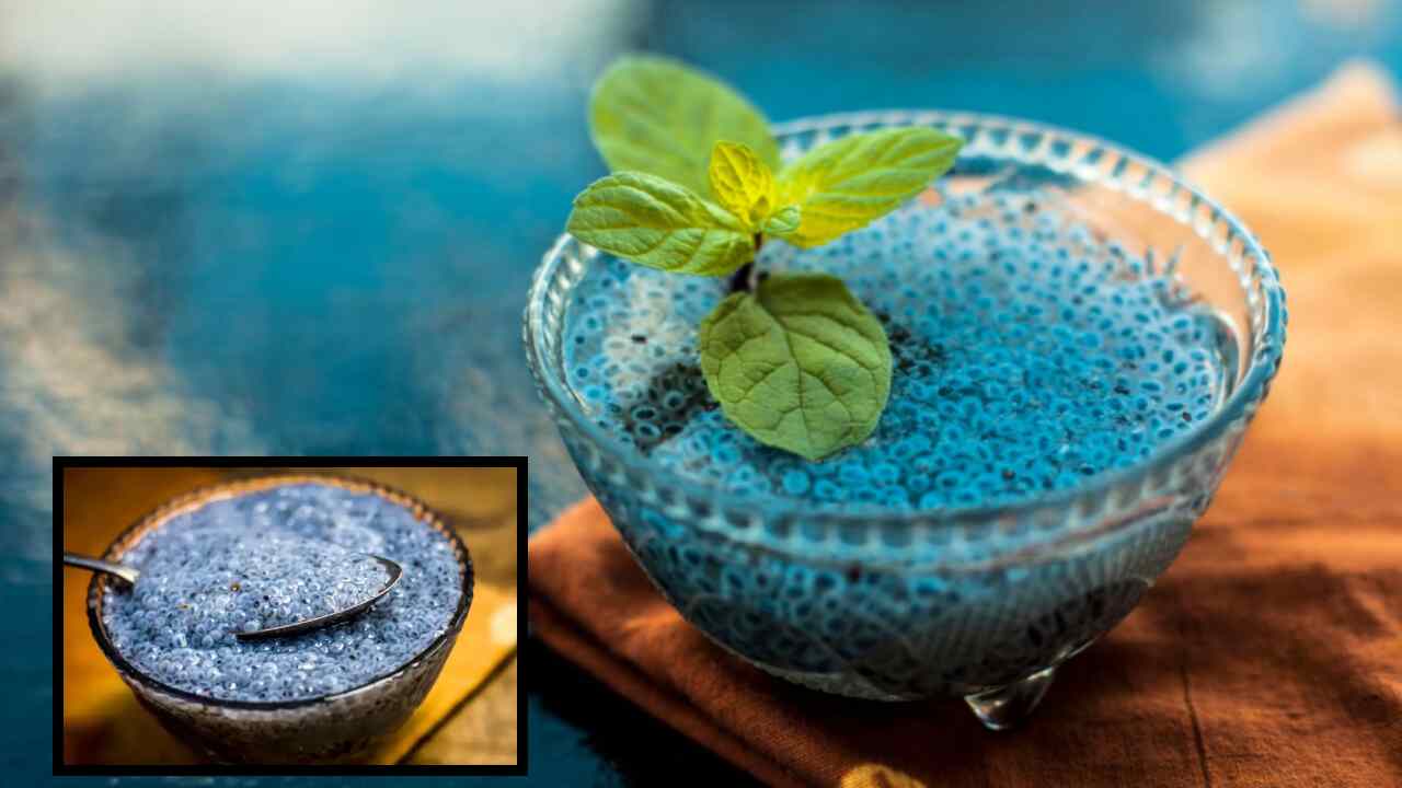 Sabja Seeds : కండరాలు, ఎముకలను బలోపేతం చేయటంతోపాటు, దీర్ఘకాలిక వ్యాధులను నివారించే సబ్జా గింజలు!