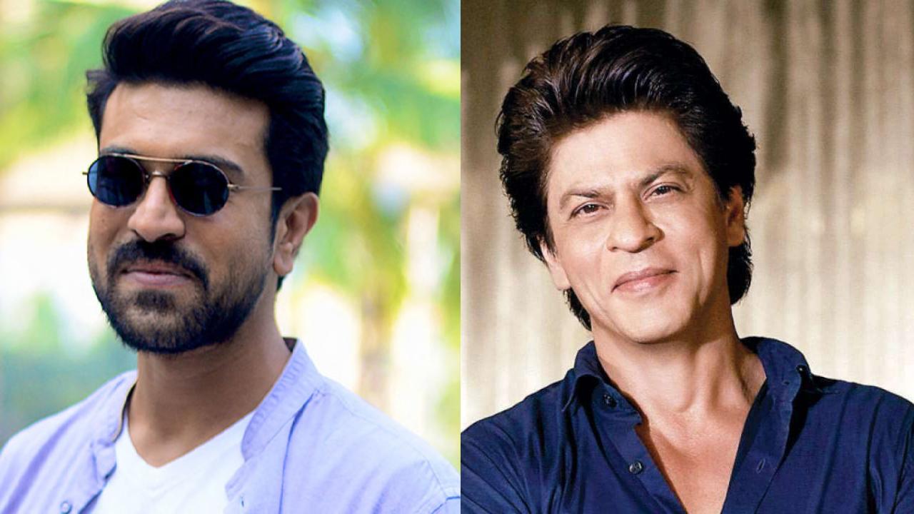 Shah Rukh Khan : మీరు ఆస్కార్‌ని తెచ్చినప్పుడు నన్ను దాన్ని టచ్ చేయనివ్వండి.. చరణ్‌కి షారుఖ్ ట్వీట్!