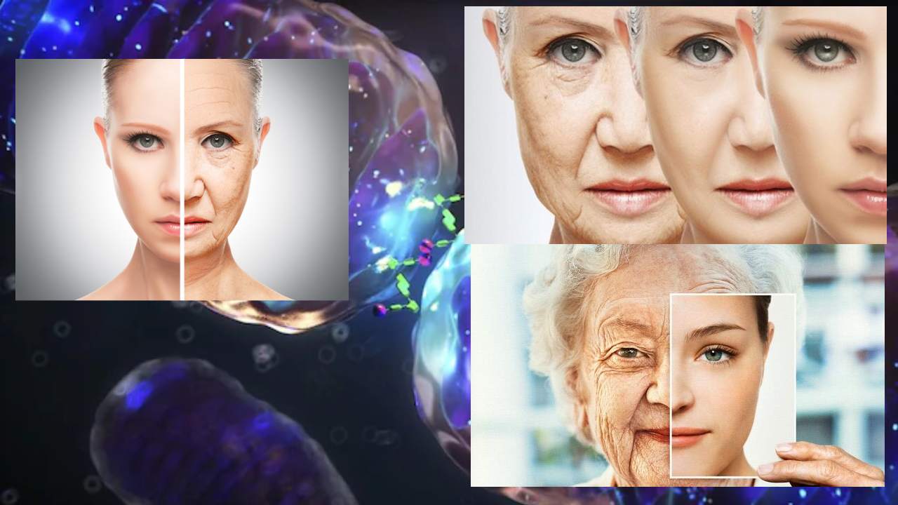 Solar Energy Slows Aging : సౌరశక్తి వృద్ధాప్యాన్ని తగ్గిస్తుందంటున్న శాస్త్రవేత్తలు..రూపాయి ఖర్చు లేకుండా యవ్వనంగా ఉండొచ్చంటున్న పరిశోధన