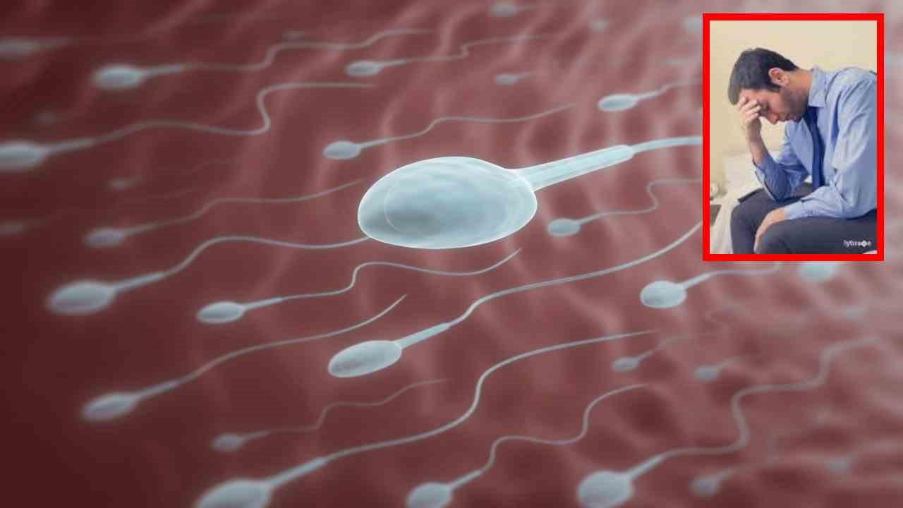 Sperm Quality In Men : మగవారిలో స్పెర్మ్ నాణ్యత తగ్గిపోవటానికి కొన్ని ఆహారాలే కారణమా?