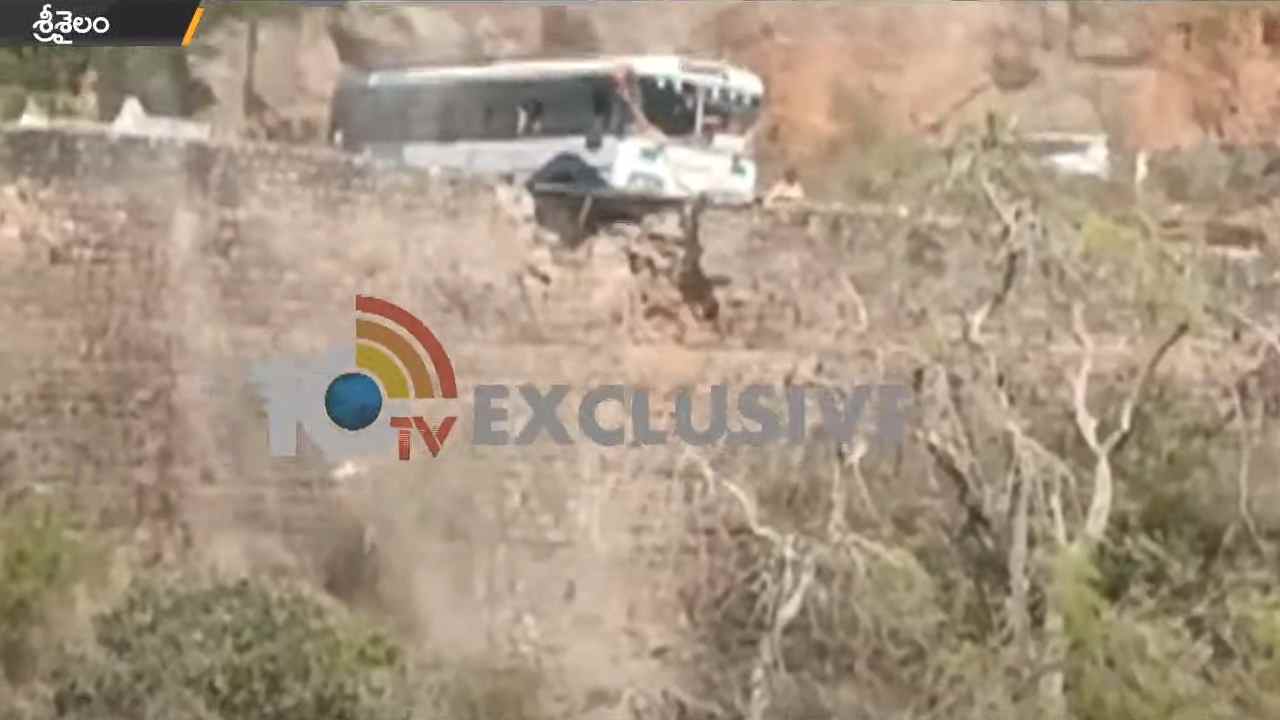 Srisailam: శ్రీశైలం ఘాట్ రోడ్డులో టీఎస్ ఆర్టీసీ బస్సుకు తప్పిన ప్రమాదం.. ప్రయాణికులు సురక్షితం