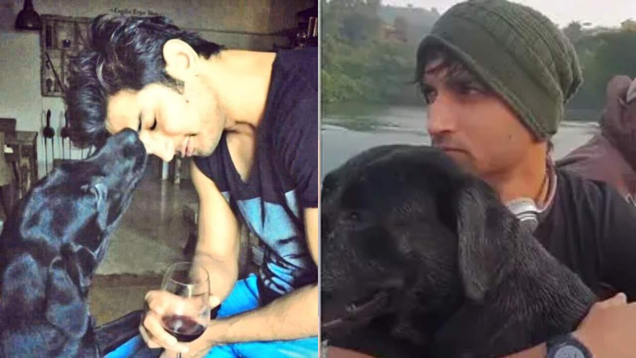Sushant Singh Rajput : తన యజమాని కోసం స్వర్గానికి ప్రయాణం.. సుశాంత్ సింగ్ పెంపుడు కుక్క మరణం..