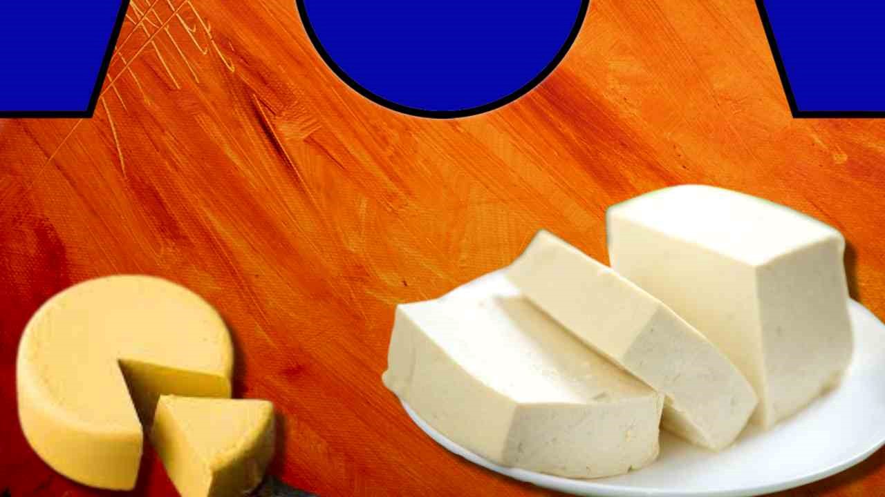 Cheese Healthy Benefits : చీజ్‌ని ఇష్టపడుతున్నారా?  అదే సమయంలో కొవ్వుకు భయపడుతున్నారా?