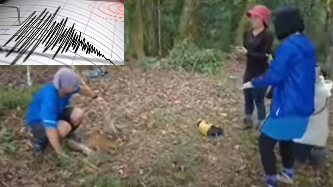 Massive Earthquake : ఇండోనేషియాలో భారీ భూకంపం.. భవనాలు నేల మట్టం.. రిక్టర్ స్కేలుపై తీవ్రత 7.7గా నమోదు