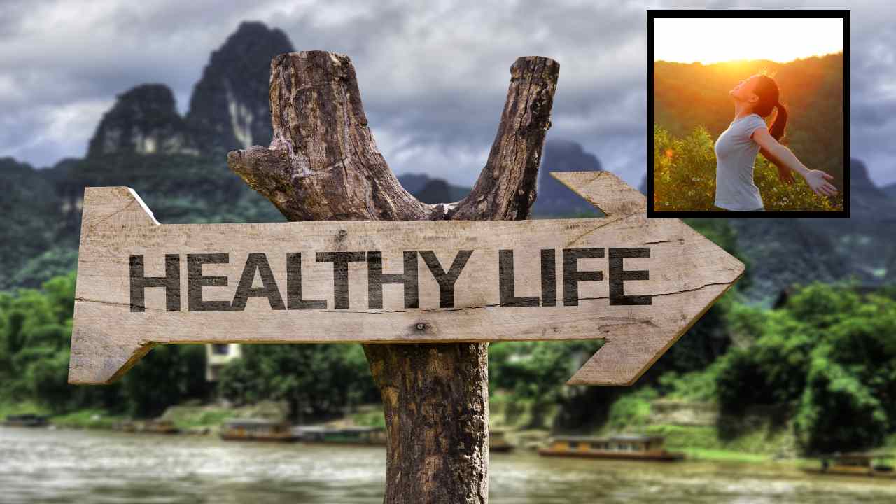 Healthy Life : మనిషి ఆరోగ్యవంతమైన జీవితానికి ఎలాంటి ఆహారం తినాలో తెలుసా?
