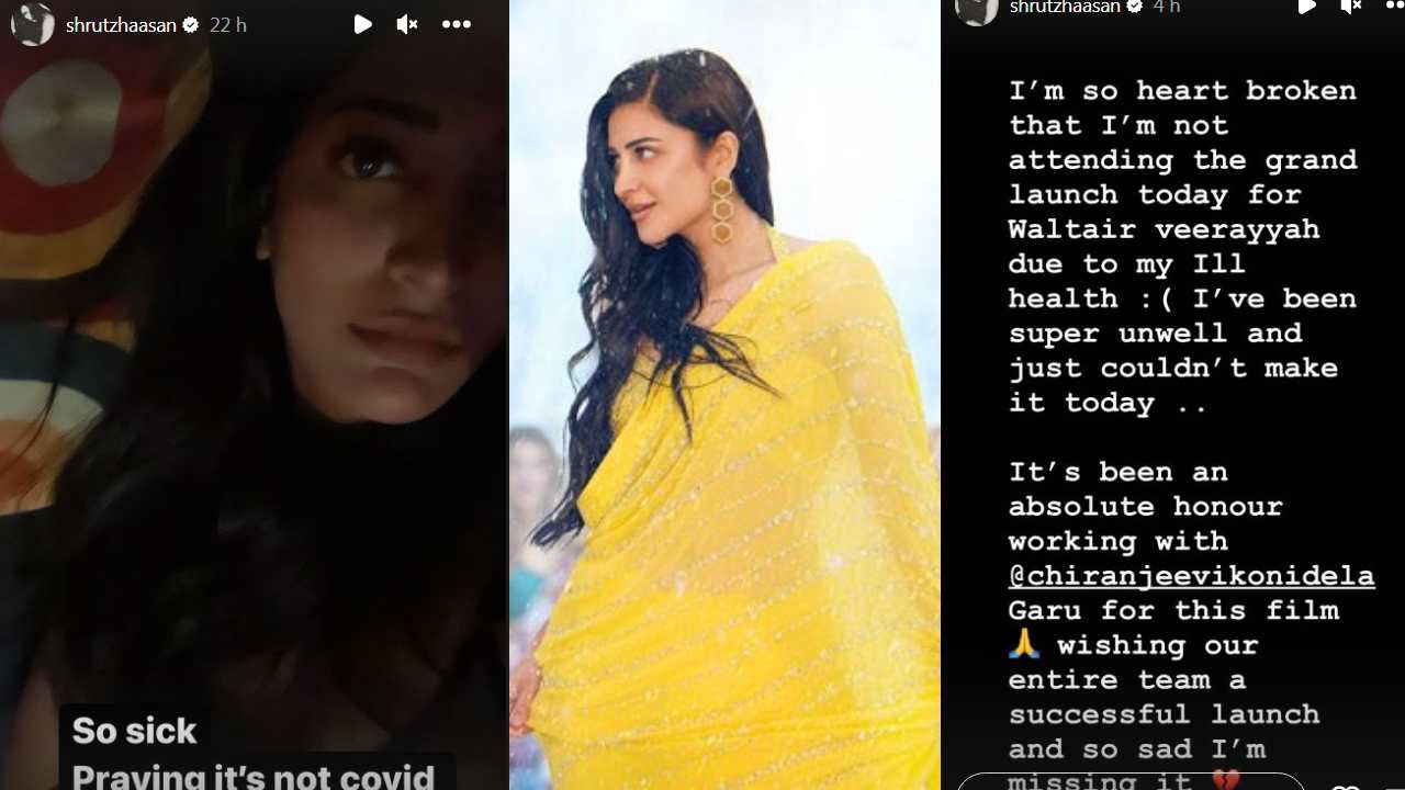 Shruthi Haasan : మెగా ఫ్యాన్స్‌కి సారీ చెప్పిన శృతి హాసన్.. వాల్తేరు వీరయ్య ప్రీ రిలీజ్ ఈవెంట్ కి రావట్లేదంట..