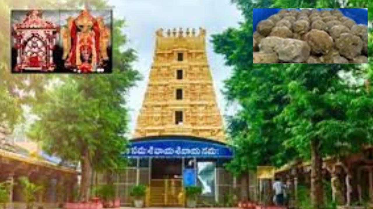 Srisailam Devasthanam Scam : శ్రీశైలం దేవస్థానం లడ్డూ తయారీ సరుకుల కొనుగోలులో భారీ కుంభకోణం