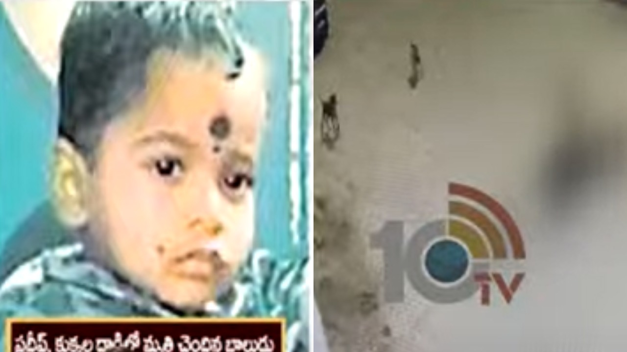 Dogs Attack Boy Died : హైదరాబాద్ అంబర్ పేటలో దారుణం.. వీధి కుక్కల దాడిలో నాలుగేళ్ల బాలుడు మృతి
