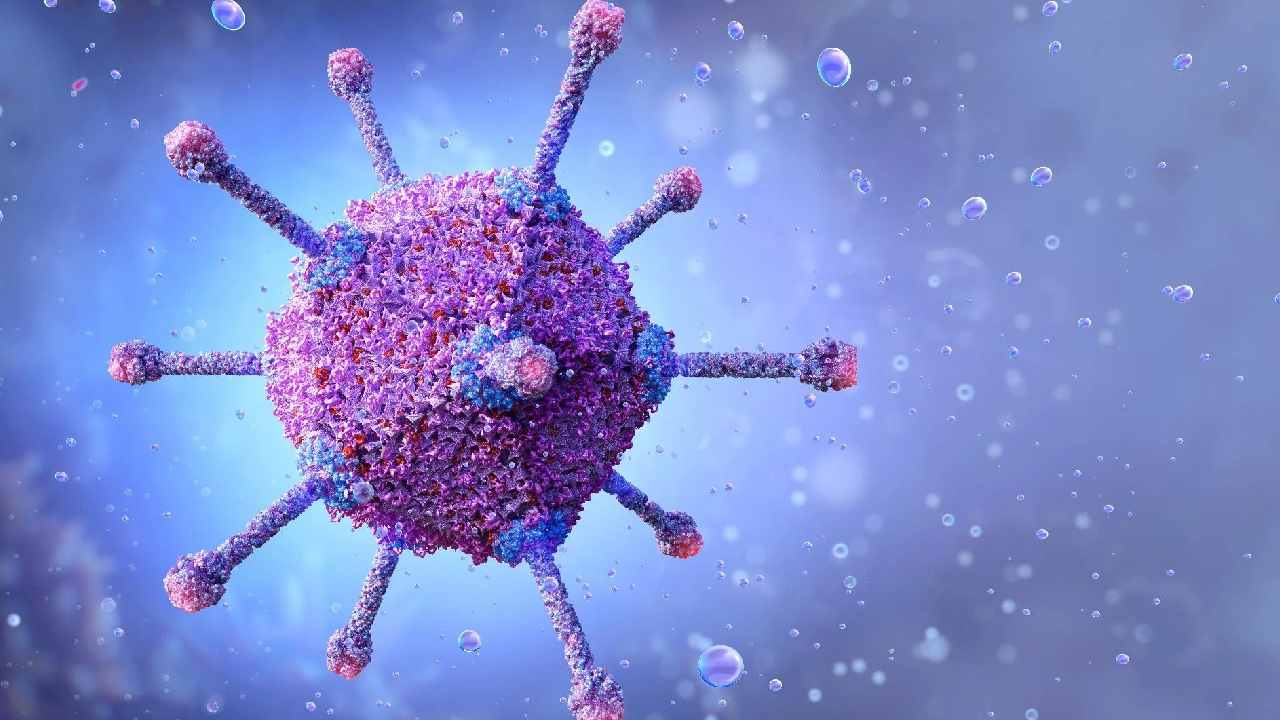 Adenovirus Cases: పశ్చిమ బెంగాల్‌లో విజృంభిస్తున్న ప్రమాదకర వైరస్.. పిల్లలు జాగ్రత్త అంటున్న ప్రభుత్వం