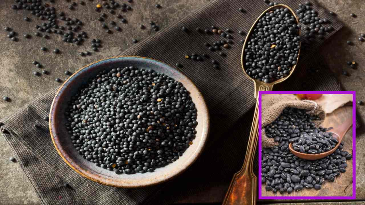 Black Gram : మినపప్పును ఆహారంలో చేర్చుకుంటే కలిగే ఆరోగ్య ప్రయోజనాలు! దుష్ప్రభావాలు