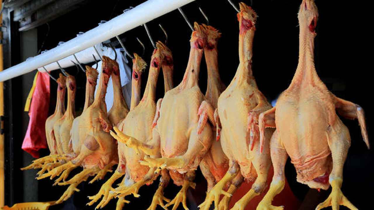 Chicken Prices : బాబోయ్.. కేజీ చికెన్ 720 రూపాయలు, భగ్గుమన్న కోడి ధర