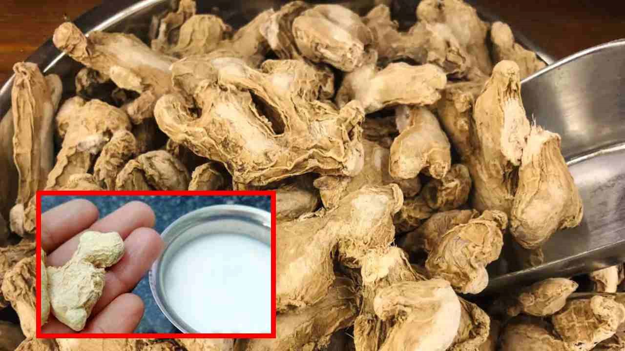 Joint Problems : కీళ్లకు సంబంధించిన సమస్యలతో బాధపడుతున్న వారికి ఉపశమనం కలిగించే శొంఠిపాలు !