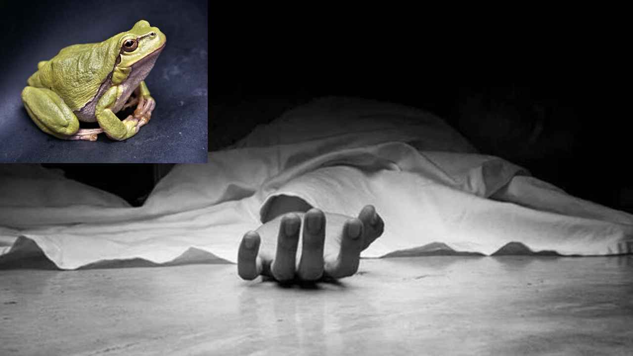 Frog Meat : బాబోయ్.. కప్పను కూర వండుకుని తిన్న కుటుంబం, ఒకరు మృతి, మరొకరి పరిస్థితి విషమం