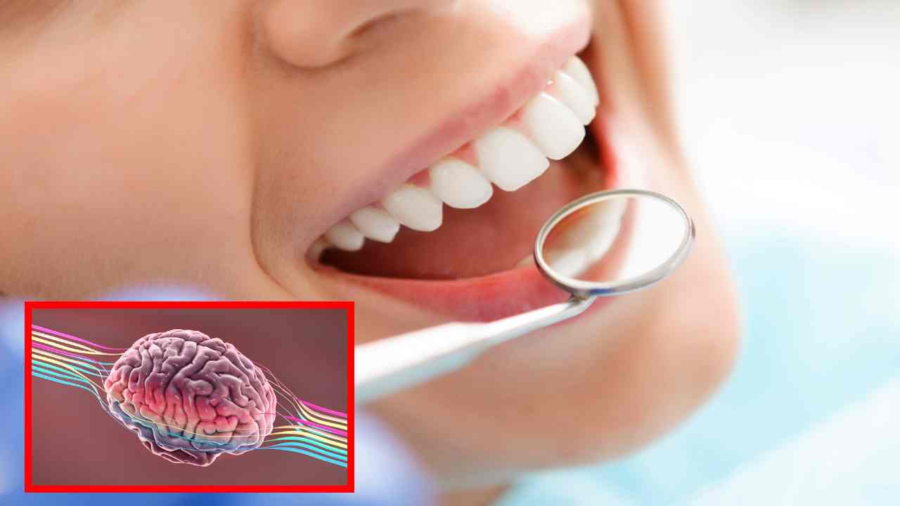 Oral Hygiene : మెదడు ఆరోగ్యంగా ఉండాలంటే నోటి శుభ్రత తప్పనిసరా?