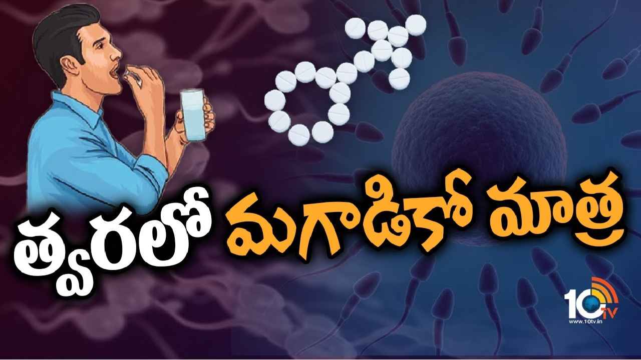 Male Contraceptive Pill : ఇక మగాళ్లకూ ఓ మాత్ర..! అతి త్వరలో అందుబాటులోకి సంతాన నిరోధక పిల్స్, ఎలా పని చేస్తాయి? ఎప్పుడు వేసుకోవాలి?