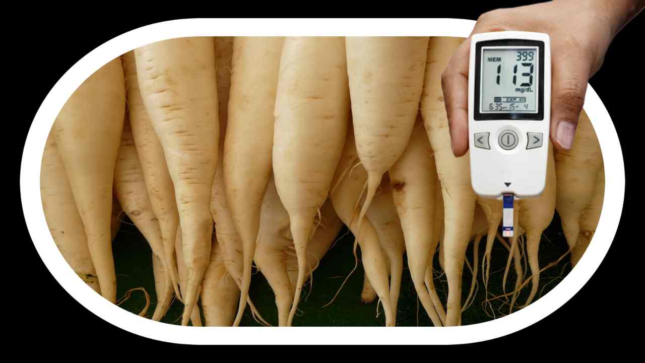 Blood Sugar : రక్తంలో అధిక చక్కెర స్ధాయిలను నియంత్రించటంలో సహాయపడే ముల్లంగి!