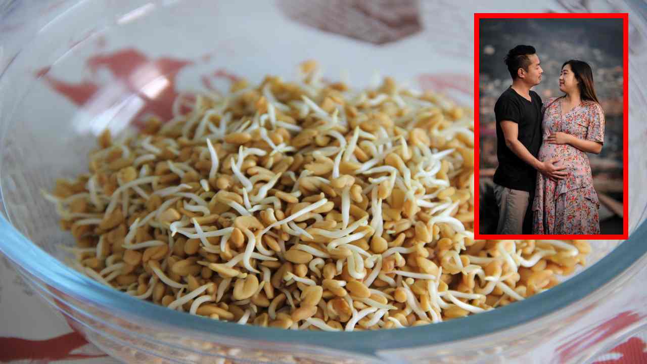Fenugreek : గర్భంతో ఉన్న వారు మెంతులు తినకూడదా?