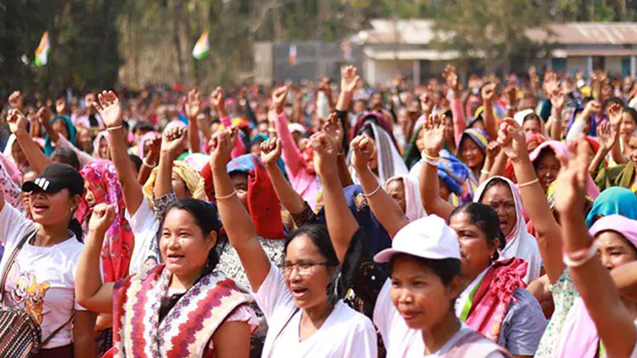 Meghalaya Assembly Polls: పోలింగుకు సిద్ధమైన మేఘాలయ.. పోటీలో 369 మంది అభ్యర్థులు