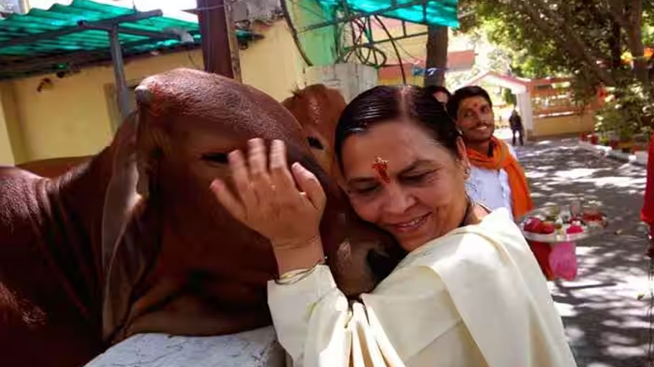 Uma Bharti: ‘మద్యం షాపుకు వెళ్లండి, ఆవు పాలు తాగండి’