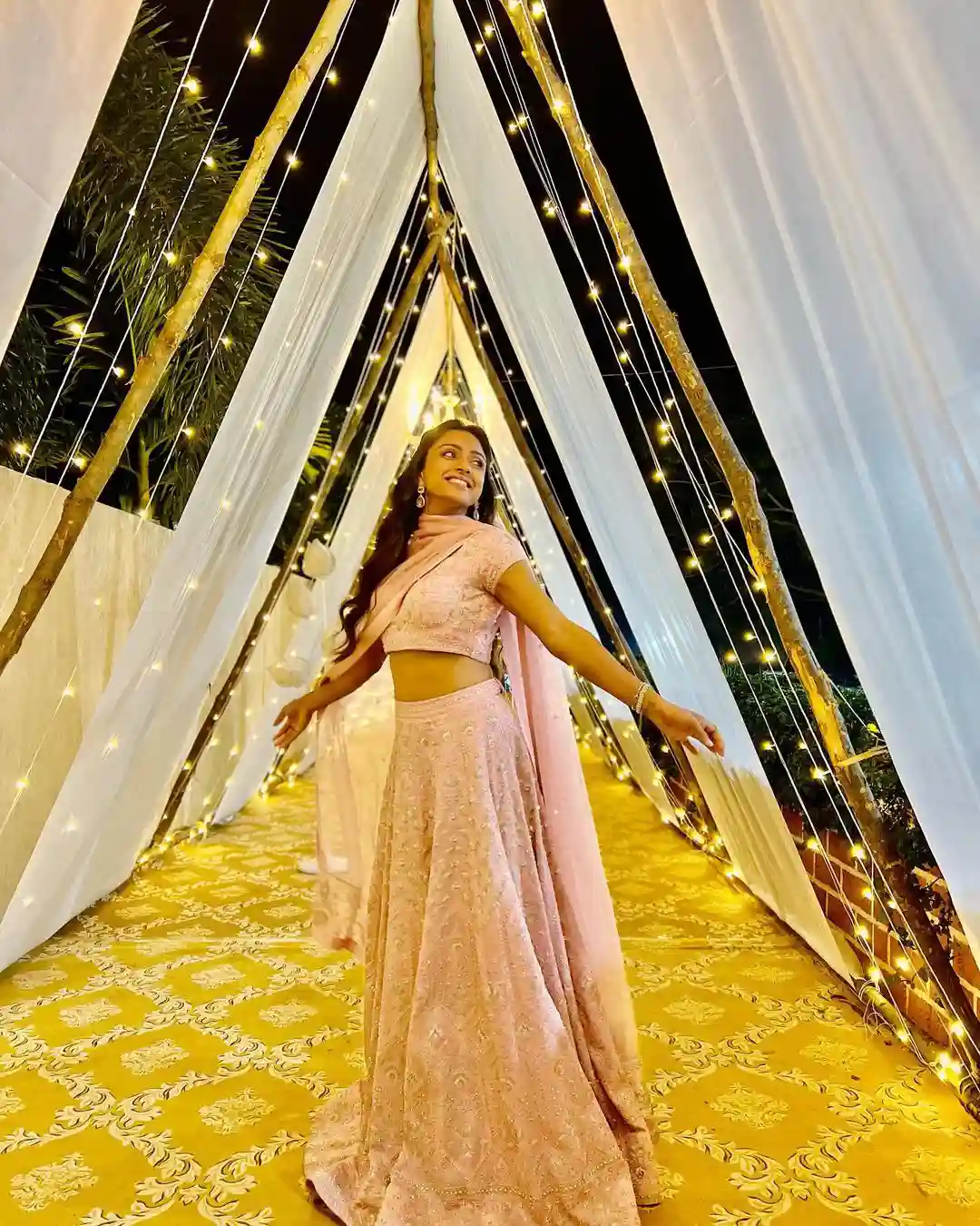 Varun Sandesh made wife Vithika's birthday grand