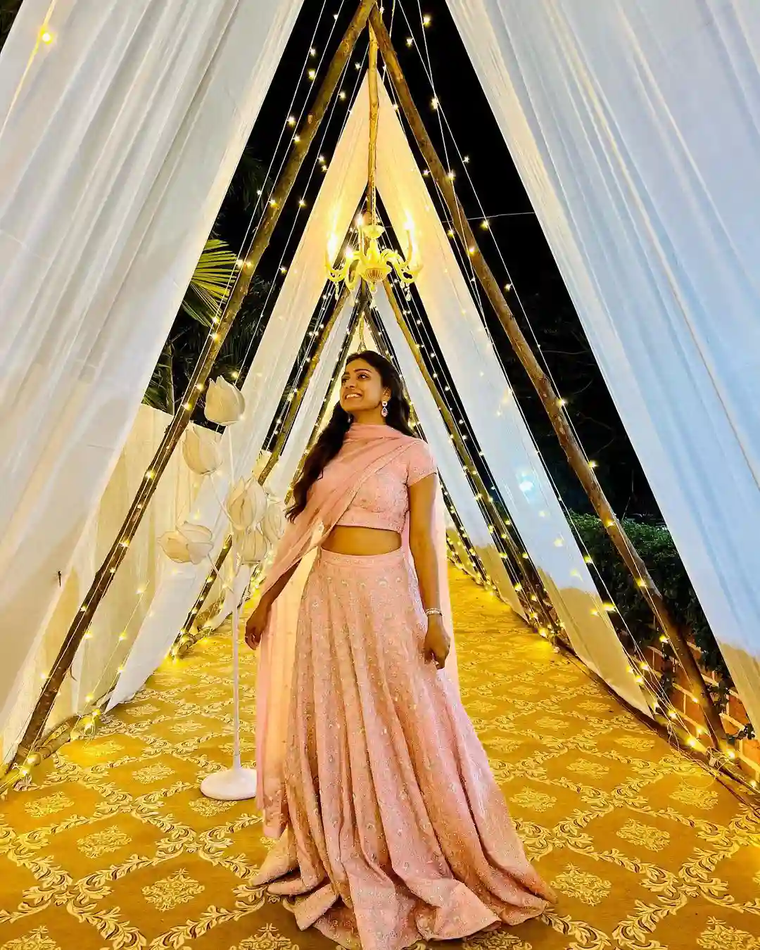 Varun Sandesh made wife Vithika's birthday grand