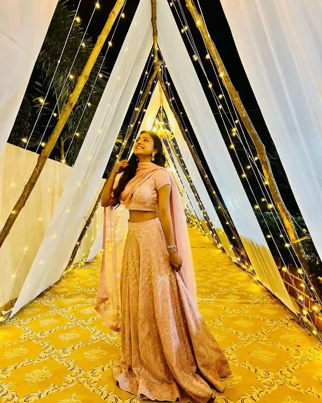 Varun Sandesh made wife Vithika's birthday grand