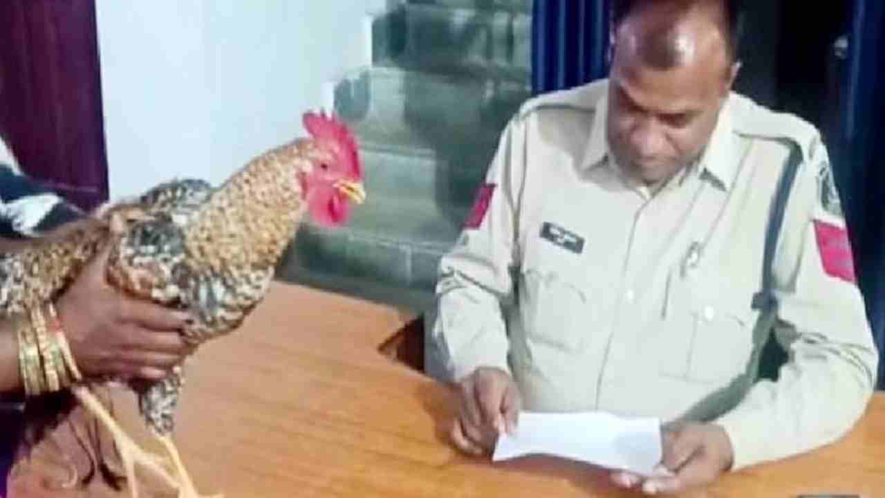 Attempt to kill chicken: కోడితో సహా పోలీస్ స్టేషన్‌కు వెళ్లిన మహిళ .. ఆమె ఫిర్యాదుతో ఆశ్చర్యపోయిన పోలీసులు