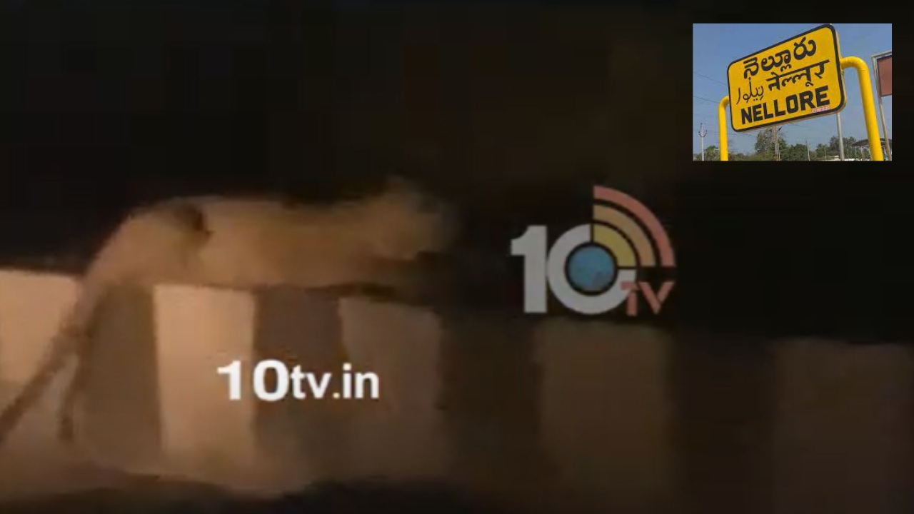 Leopard : నెల్లూరు జిల్లాలో చిరుత పులి కలకలం