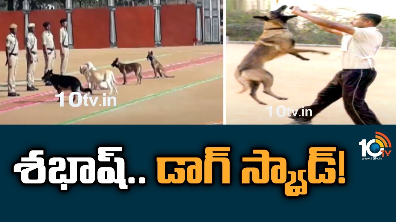 Police Dog Squad: శభాష్.. డాగ్ స్క్వాడ్!