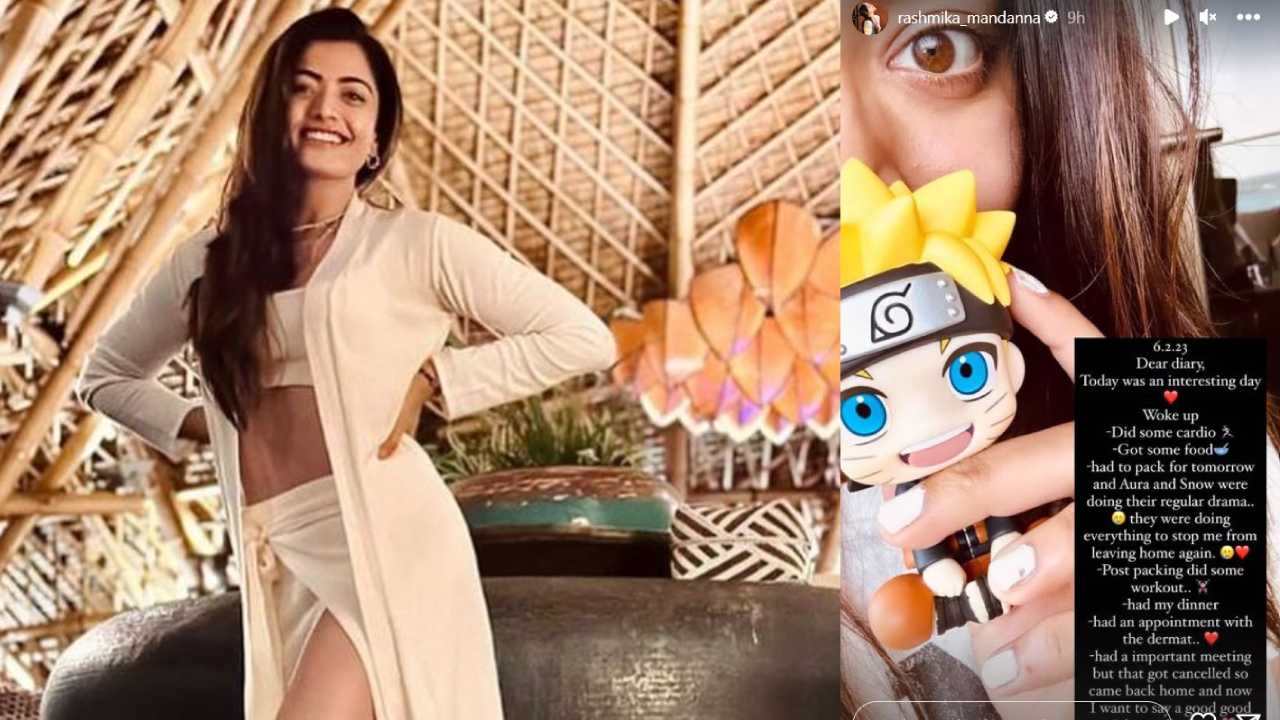 Rashmika : రోజు వారి డైరీ బయటపెట్టిన రష్మిక.. అతన్ని ఎందుకు కలుస్తుంది? ఆందోళనలో అభిమానులు..