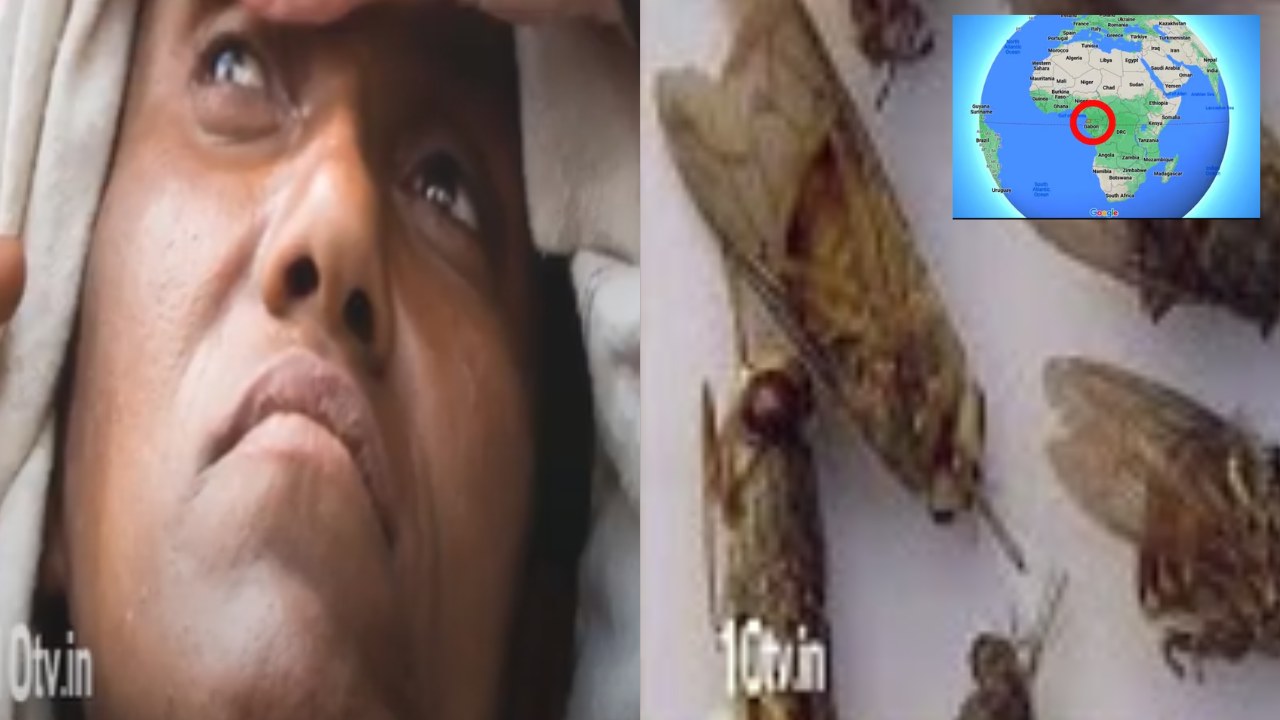 Strange Disease : ఆఫ్రికాలోని గినియాలో వింత వ్యాధి.. రక్తస్రావం, జ్వరంతో గంటల వ్యవధిలో రోగి మృతి
