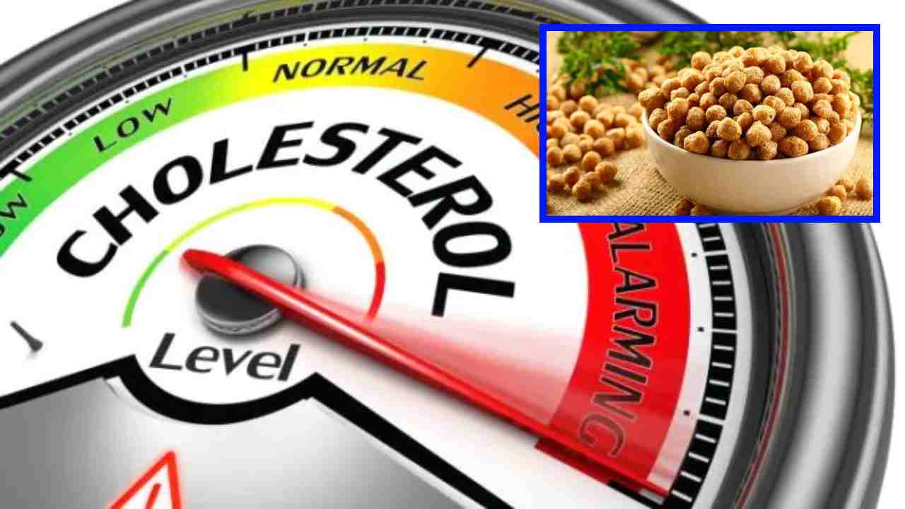 Meal Maker : చెడు కొలెస్ట్రాల్ స్థాయిలు త‌గ్గించి గుండెను ఆరోగ్యంగా ఉంచే మీల్ మేకర్ !