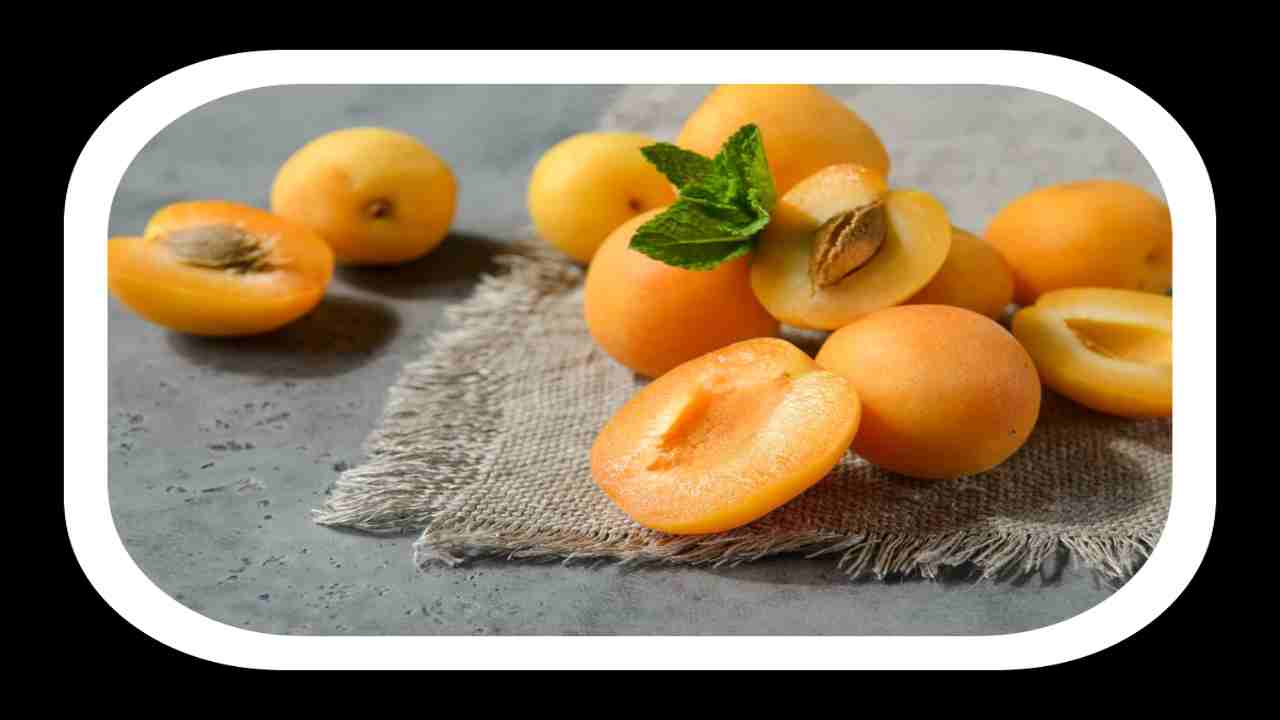 Health Benefits of Apricots : ఆప్రికాట్లు తినటం వల్ల కలిగే ఆరోగ్య ప్రయోజనాల గురించి మీకు తెలుసా ?
