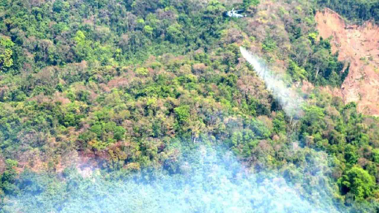 Goa Forest Fire: గోవాలో దావానలం.. తగలబడుతున్న అడవులు.. ప్రధాని మోదీ సమీక్ష