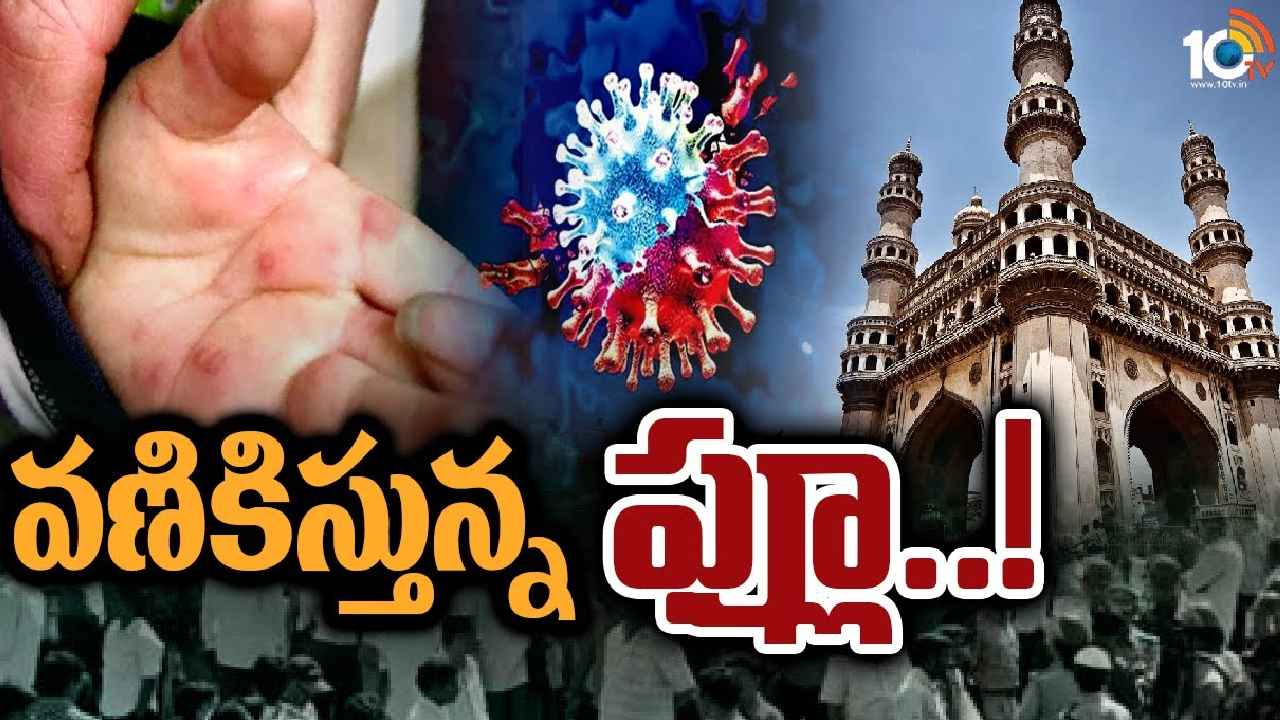 H3N2 Virus : బీ కేర్‌ఫుల్.. తెలంగాణను భయపెడుతున్న H3N2 వేరియంట్, పెరుగుతున్న కేసులు