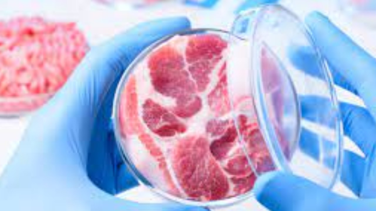 Lab Grown Meat : కృత్రిమ మాంసం.. ల్యాబ్ మీట్ పై సీసీఎంబీ పరిశోధనలు
