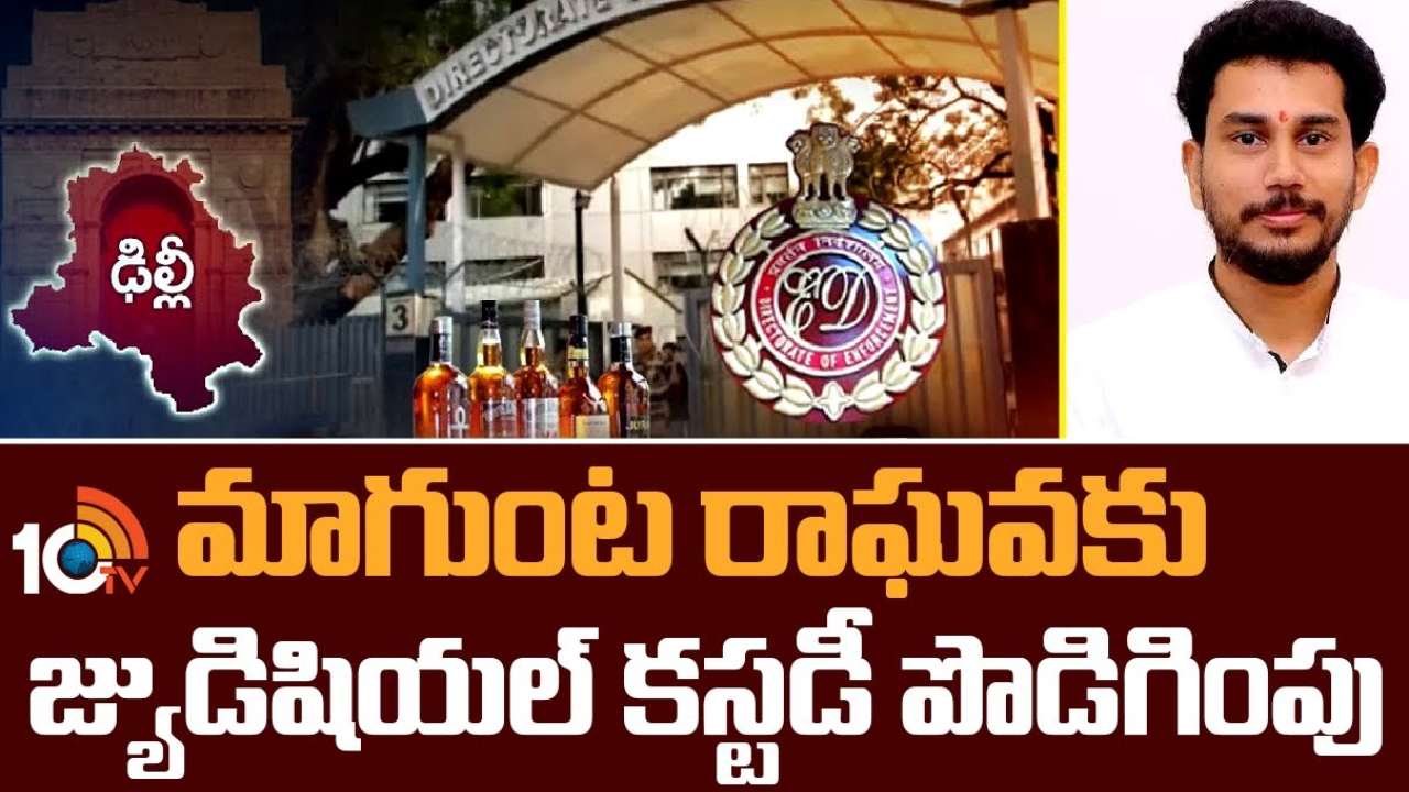 Magunta Raghava Judicial Custody : ఢిల్లీ లిక్కర్ పాలసీ కేసులో మాగుంట రాఘవకు జ్యుడీషియల్ కస్టడీ పొడిగింపు