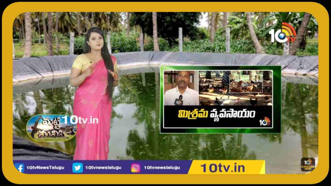 Mixed Farming : రైతుకు భరోసానిస్తున్న మిశ్రమ వ్యవసాయం.. పలు పంటల సాగు విధానంతో స్థిరమైన ఆర్థిక వృద్ధి